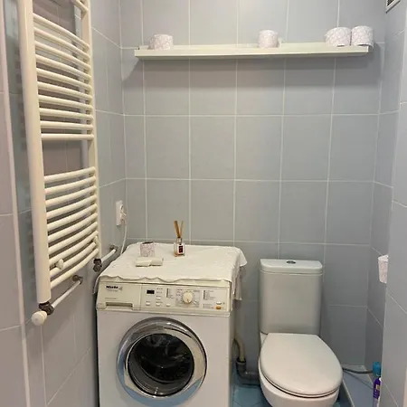 Flat In Apartment Chisinau